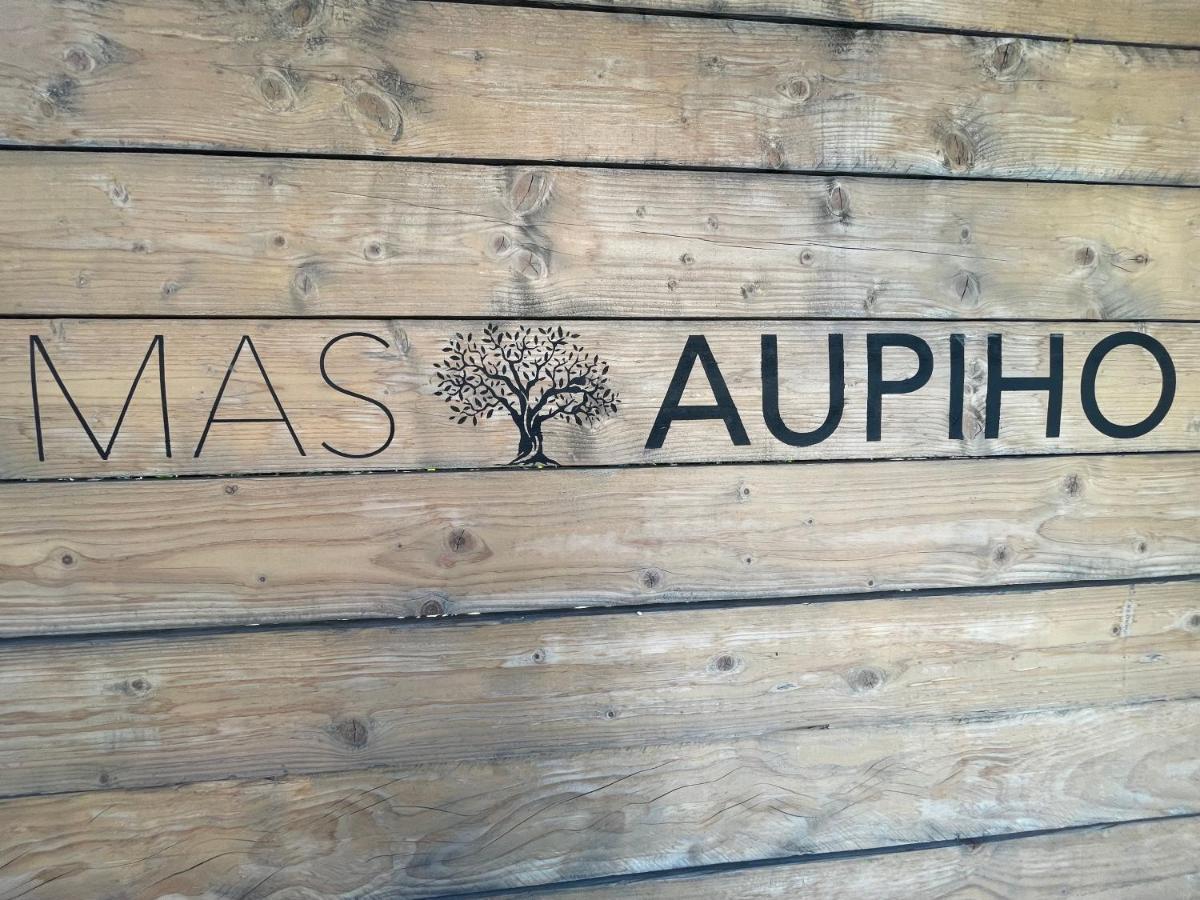 Вилла Mas Aupiho Сен-Реми-де-Прованс Экстерьер фото